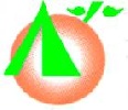 Camping Los Naranjos - Camping y bungalows en El Grau de Moncofa - Castell�n