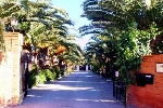 Camping Malvarrosa de Corinto - Camping en Sagunto - Valencia