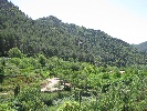 Los Cl�ticos - Camping en Bej�s - Castell�n
