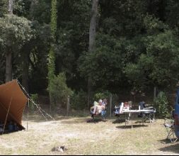 Amplias parcelas de camping