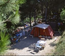 Camping EL Maset