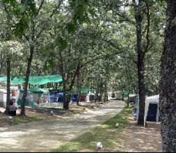 Zona de acampada