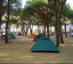 Parcelas y zona de acampada