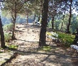 Camping o bungalow Camping Parque Ardales