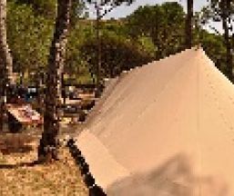Camping o bungalow Camping Neus