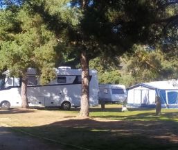 Camping o bungalow CAMPING LOS BONALES