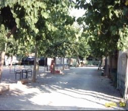 Calle del parque