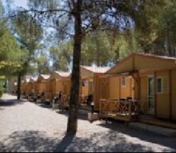 Bungalows de 5 y 6 plazas