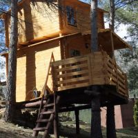 cabaña en el arbol