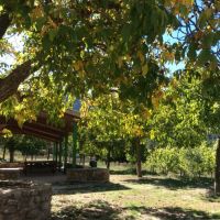 los nogales de cortijo covaroca