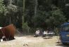 Amplias parcelas de camping