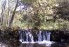 Paseos por el Río Tenes