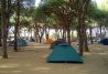 Parcelas y zona de acampada