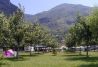 Parcelas del camping