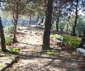 Camping o bungalow Camping Parque Ardales