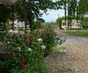 Camping o bungalow Camping El Cruce
