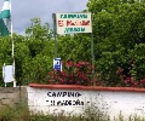 Camping o bungalow El Madroñal